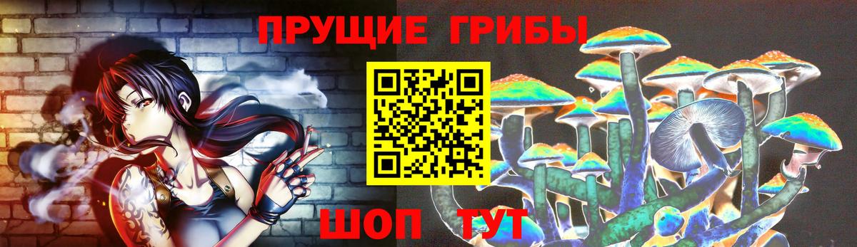 Псилоцибиновые грибы мицелий  Вход с VPN  Галлюциногенные грибы Psilocybine cubensis  Лесной 
