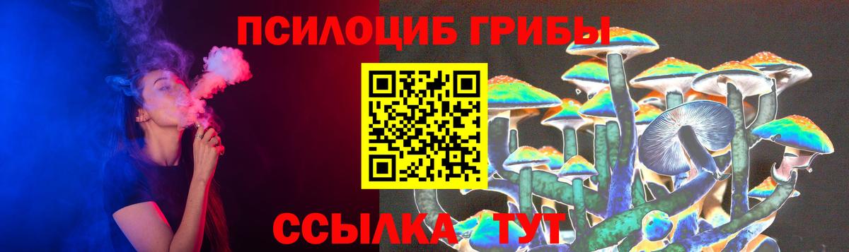 Галлюциногенные грибы Psilocybine cubensis Лесной